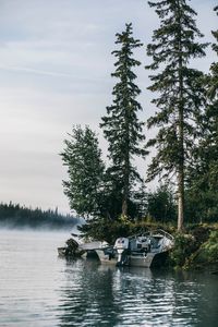 Connect with Nature in Kenai River Fishing!